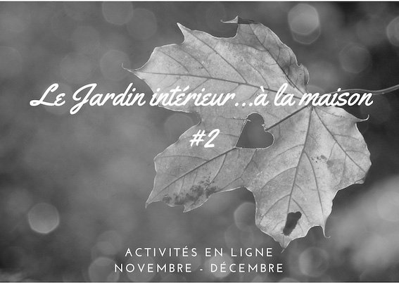 Cours, ateliers, conférences sur ZOOM
